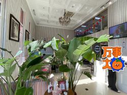 -爱儿美儿童摄影(五路居花园别墅店)