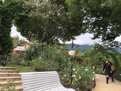 -河口湖八音盒之森美术馆