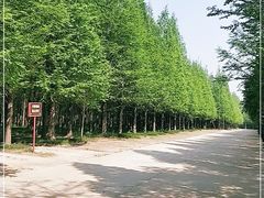 -日照海滨国家森林公园