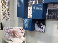-伟伟宠物医院·CT影像中心·瑞派犬猫综合性门诊(汉口总院)