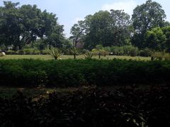 院内环境-广州市干部健康管理中心