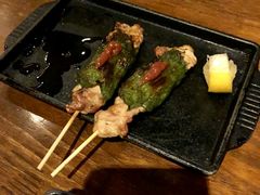 梅子鸡肉串-木子烧鸟屋(百子湾店)