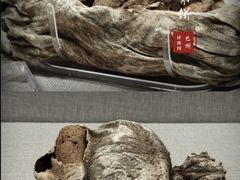 -巴音郭楞蒙古自治州博物馆