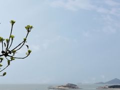 -东山风动石景区