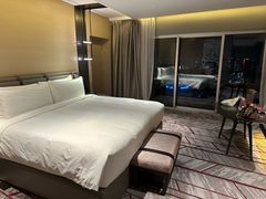 -新加坡瑞士史丹福酒店