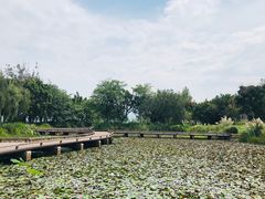 -西昌邛海湿地