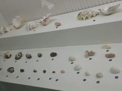 -青岛贝壳博物馆