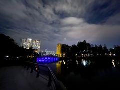 -四海公园(南山区)