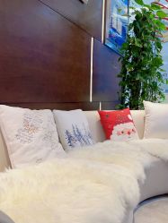 -洁铭新加坡医美