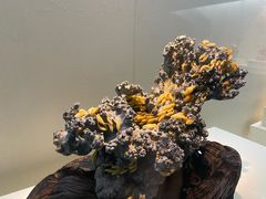 -杭州工艺美术博物馆