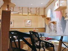 -滚猫咖啡·猫咖·猫友好撸猫(未来城店)