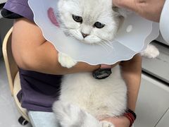 -达爱动物医院·犬猫分区·CT·复杂眼科(远洋山水分院)