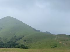 -大姆山草场