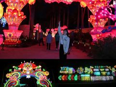 -欢乐海岸椰林沙滩-2025湾区超级灯会