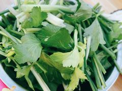 -霞姐屯昌枫木香草鸭店(海螺店)