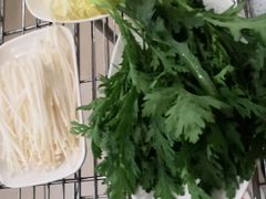-蜀皇·菌汤鲜黄牛肉汤锅(宽窄巷子店)