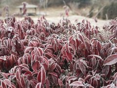 -沈阳森林动物园