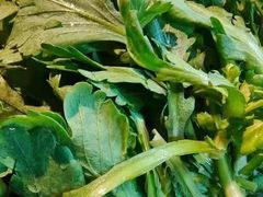 -老墙根涮肉·铜锅·烧烤(欢乐谷·王四营店)