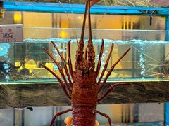 -佳丽海鲜大酒楼(环岛海景店)