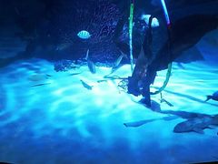 -沈阳海洋探索中心