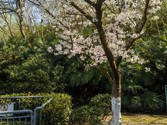 -南京珍珠泉风景区
