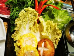 -掂档潮汕牛肉火锅(沈阳万象城店)