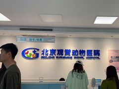 -北京观赏动物医院·24小时大型综合·猫专科·异宠专科