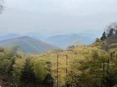 -莫干山风景区