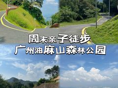 -黄埔油麻山森林公园