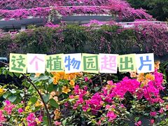 -深圳仙湖植物园