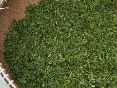 -龙坞茶村