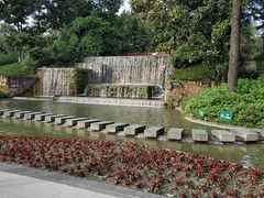 -成飞公园