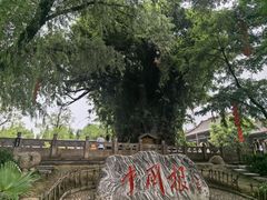 -大槐树寻根祭祖园