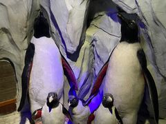 -太平洋海底世界