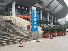 -重庆市奥林匹克体育中心-游泳跳水馆