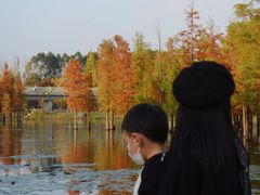 -白鹭湾湿地公园