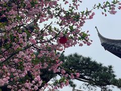 -龙华寺