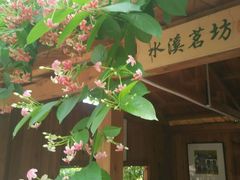 -万源龙顺度假庄园生态观光园