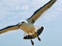 -海驴岛(荣成市)