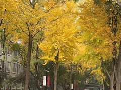 -山东大学(趵突泉校区)