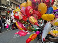 -溪岸路花鸟市场