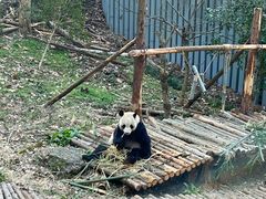 -黔灵山公园