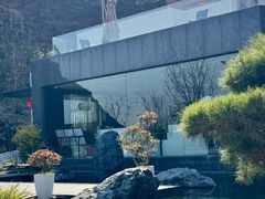 -雅苑中餐厅