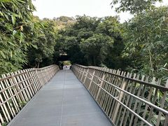 -福道