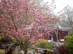 -采石矶景区