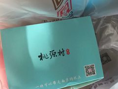 -桃源村(南大店)