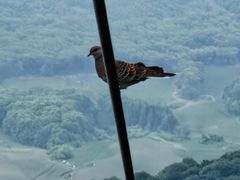 -吉林拉法山
