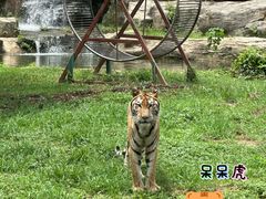 -常州淹城野生动物世界