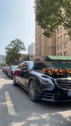 -宁波甬诚婚车(新典路店)