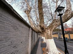 -颐和路民国时期公馆风貌区